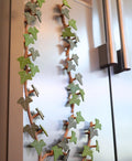 Magnetivy – English Ivy Fridge Magnet with Articulating Stems