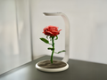 Rose Lamp (with LED Lamp Kit) – A Romantic Touch of Magic
