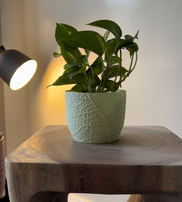 Leaf Plant Pot – Subtle Elegance with Nature-Inspired Texture