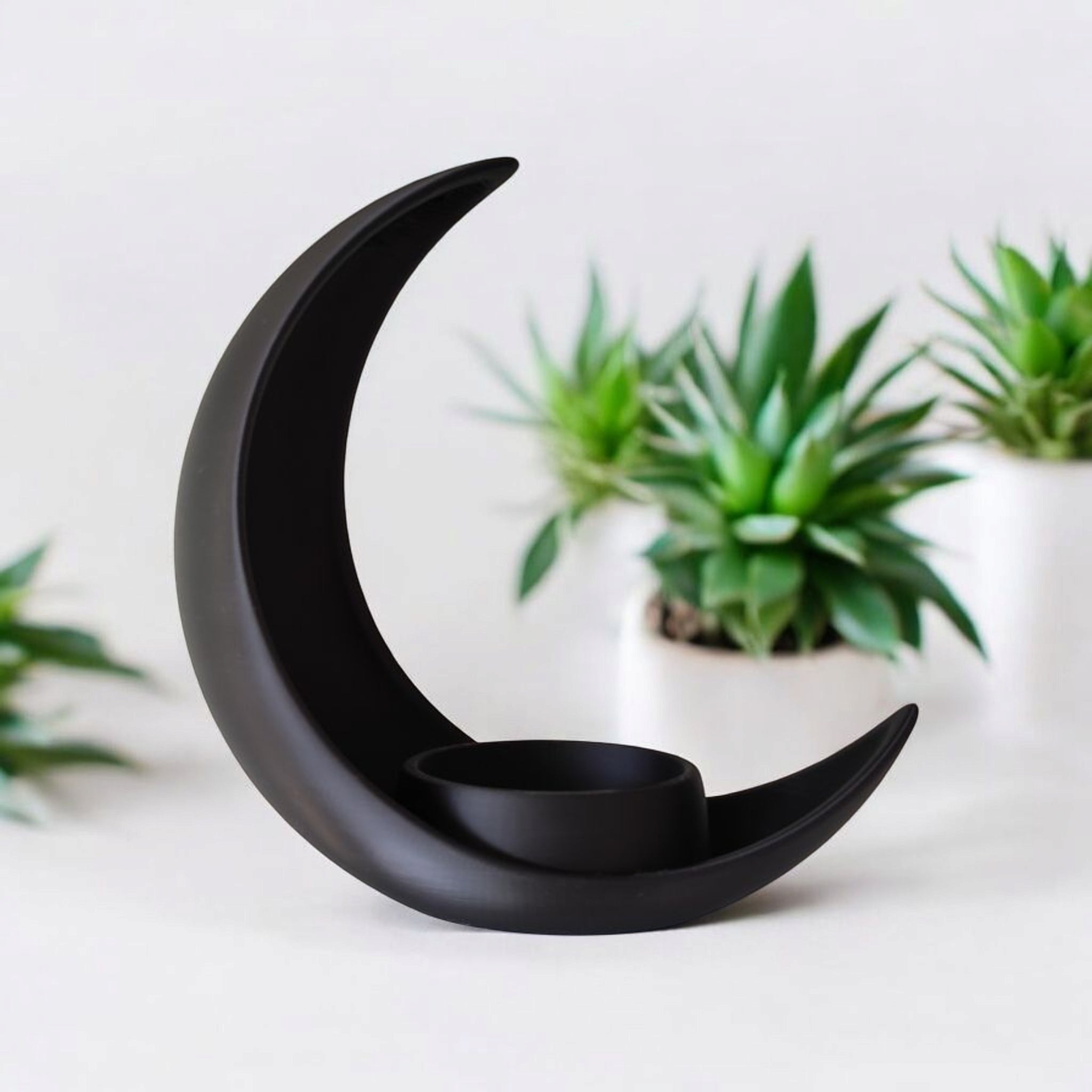 Crescent Moon Decoration with Elliptical Plant Pot
