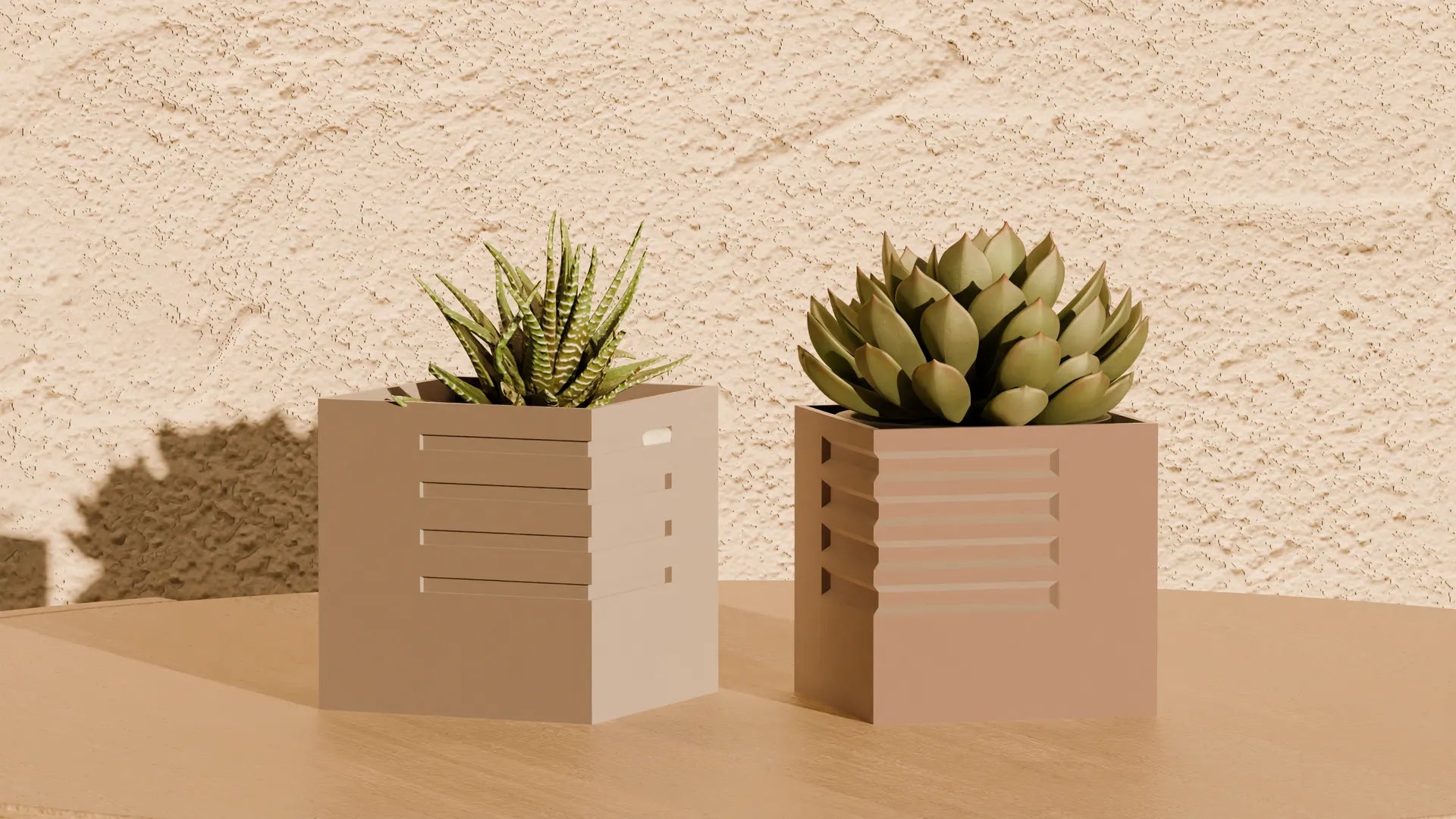 Cube Ribcage Pot Plant